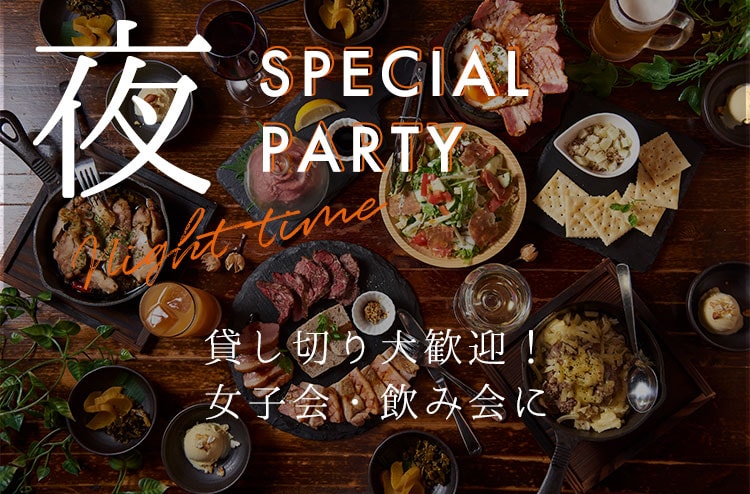SPECIAL PARTY